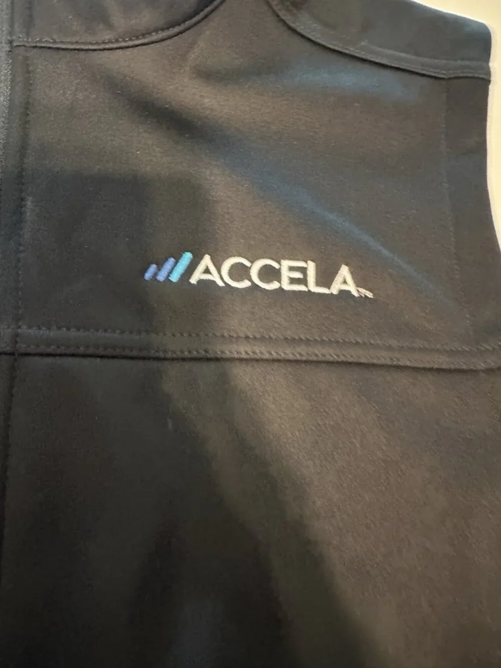 NwT The North Face Ridgewall Vest Large Black Soft Shell Full Zip Unisex ACCELA